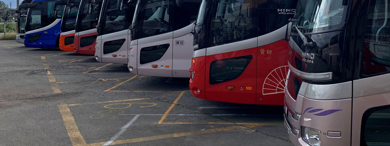 サンライズカンパニー Sunbus Jp 新潟 新潟県の貸切バスと路線バスの運行